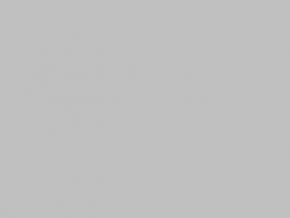 Fendt Grey-White Paint Fendt Grey-White Paint