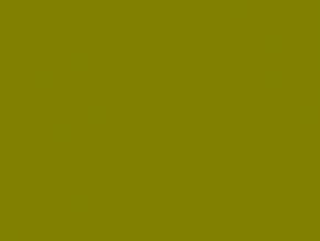 Army Olive Green Fendt Paint Army Olive Green Fendt Paint