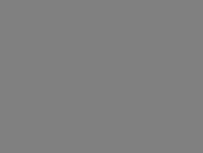 Fendt Grey Exhaust Paint Fendt Grey Exhaust Paint