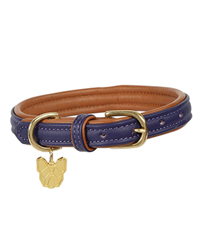 Padded Leather Dog Collar