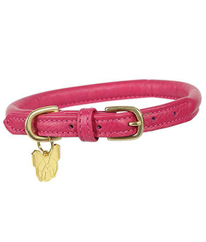 Rolled Leather Dog Collar