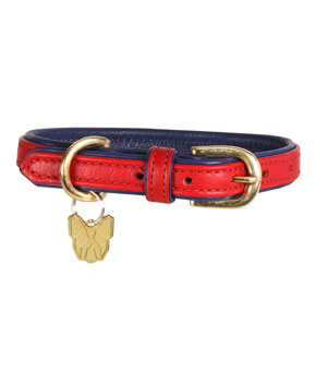 Digby & Fox Padded Leather Dog Collar Scarlett