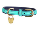 Digby & Fox Padded Leather Dog Collar Teal
