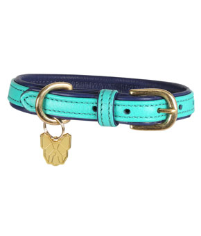 Digby & Fox Padded Leather Dog Collar Teal