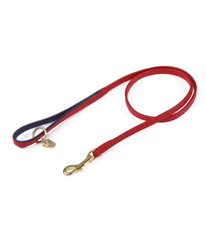Digby & Fox Padded Leather Dog Lead Scarlett