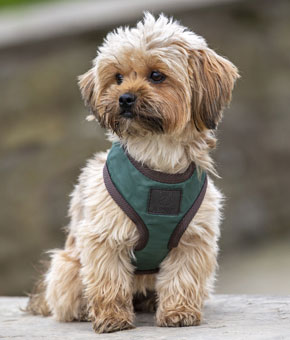 Digby & Fox Heritage Harness Forest Green