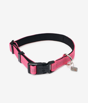 LeMieux Henley Dog Collar Watermelon