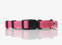 LeMieux Henley Dog Collar Watermelon