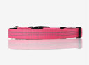 LeMieux Henley Dog Collar Watermelon