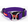 EzyDog Double Up Collar Purple