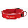 EzyDog Neo Classic Collar